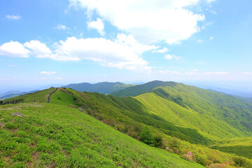 Fototapeta na wymiar 고산지대에서 바라본 푸른 봄의 경치