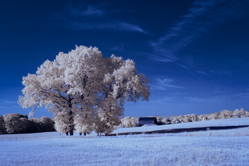 infrared photography - ir photo of landscape under sky with clouds - the art of our world in the...