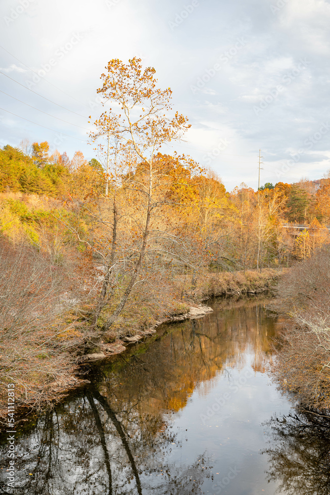 Wall mural a walk in fall in north carolina