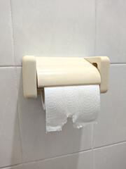 Tear toilet tissue roll during using from plastic box in toilet room