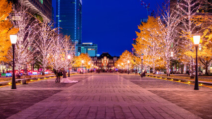 東京駅　銀杏並木とイルミネーションの夜景