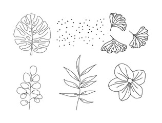 set of floral elements isolated