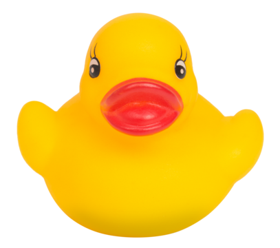 Yellow rubber duck isolated