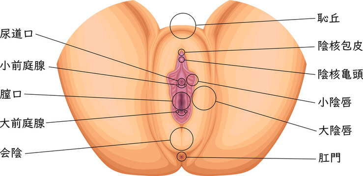 Penelope porno onlayn Vaginal jinsiy aloqa