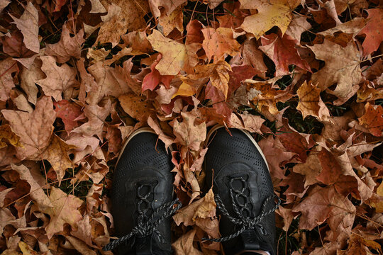 Landscape foot selfie. Black shoes in a pile of orange maple leaves.