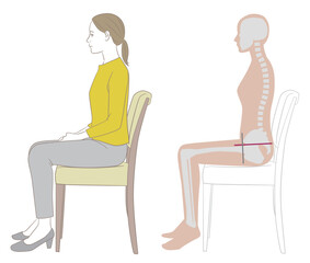 正しい姿勢で椅子に座る女性と骨格図