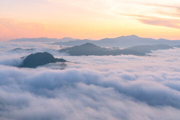 Fototapeta na wymiar Fog mountain landscape before sunrise soft tone