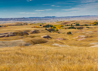 Fall Color in Sage Creek, Sage Creek Wilderness Area, Badlands National Park, South Dakota, USA