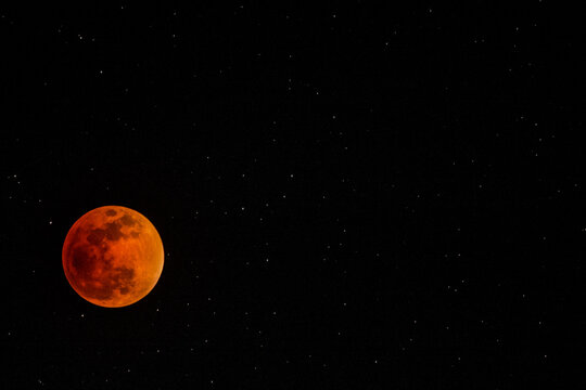 reed moon in nigth sky