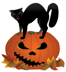 Halloween Pumpkin with Black Cat