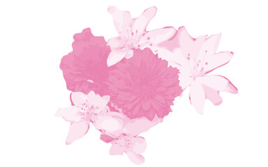 pink flowers elements for wrappers, wallpapers, postcards, greeting cards, wedding invites