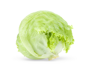 Green Iceberg lettuce on transparent png