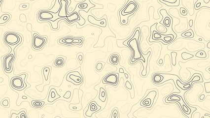 Military Topographic Map - Camel Version