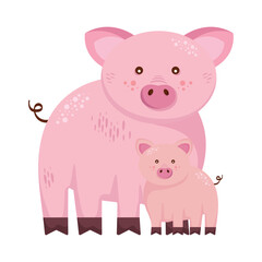 family porks animals farms