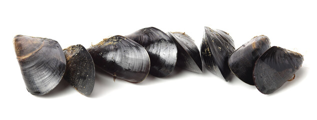 Fresh mussels on white background