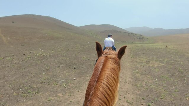 Chestnut Horse Riding POV on a deserted sunny hill, male rider