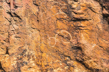 Historical stone carvings of animals. Petroglyphs on rock close up.