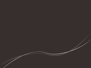 高級感のある曲線デザインのフレーム