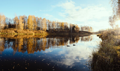 Autumn landscape with lake