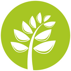 tree in green circle background illustration