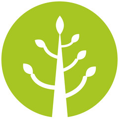 tree in green circle background illustration