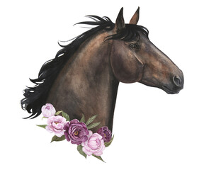Obraz na płótnie Canvas Watercolor illustration of a dark horse with delicate peonies isolate