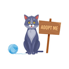 Funny cat with adopt me signboard and clew searching family. Isolated cartoon vector feline character, stray pets adoption charity, shelter for homeless animals helping to find owners for kittens