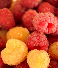 A bunch of ripe red and yellow raspberries selective focus