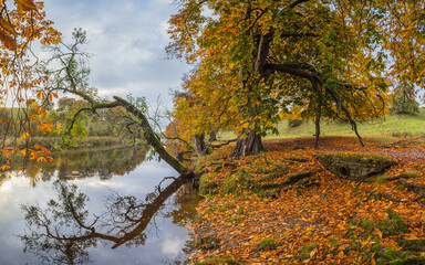 Autumnal colours along the River Wharfe