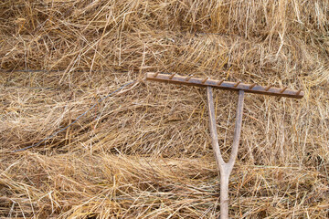 A vintage rake lies on the straw. Rustic background with straw.