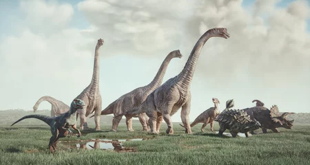 Foto op Plexiglas Soorten dinosaurussen in de natuur. © Orlando Florin Rosu