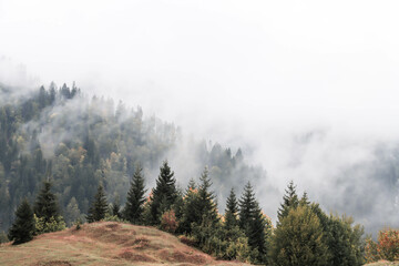 Zdjęcie przedstawia góry położone w Gruzji. Mgła/ lodowiec idealnie komponuje się z kolorami jesieni, które można znaleźć w niższych partiach gór.  - obrazy, fototapety, plakaty