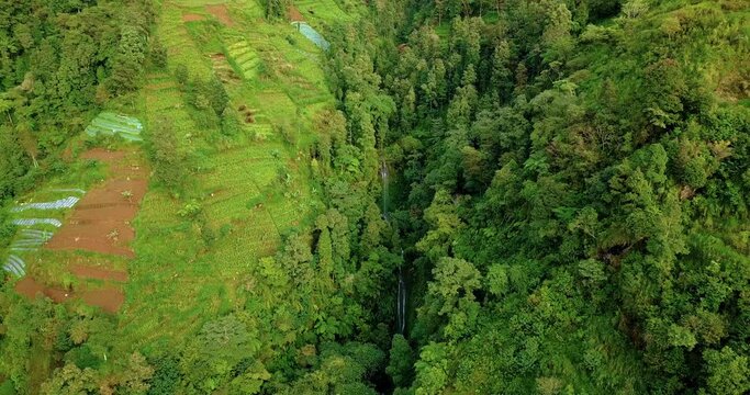 Drone footage of valley on the slope of tropical mountain that overgrown by trees and plantation with hidden waterfall - Slope of Sumbing Mountain, Indonesia