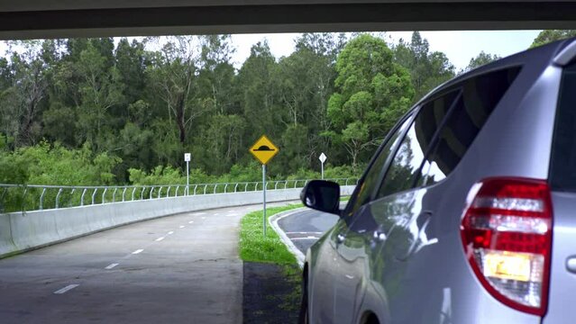 Locked camera shot in full focus of car pulled over to the side of the road with indicator light on, Wildlife in background of car parked with road curling around a bend with an overpass above