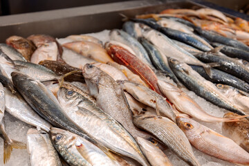 Colorful selection of seafood at fish market in Rhodes, Greece. High quality photo