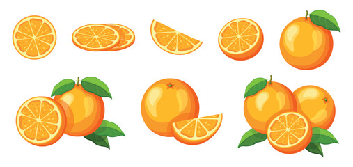 Set of fresh yellow orange in cartoon style. Vector illustration of fruits whole and cut, large and small sizes with leaves on white background.