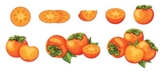 Set of fresh yellow persimmons in cartoon style. Vector illustration of fruits whole and cut, large and small sizes with leaves on white background.