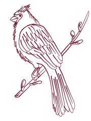 The cardinal bird sits on a tree branch. Outline drawing. Doodle hand drawn style. Sketchy simple image. Abstract bird silhouette. Vector illustration isolated on white background. Coloring page
