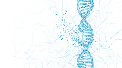 DNA molecule, illustration