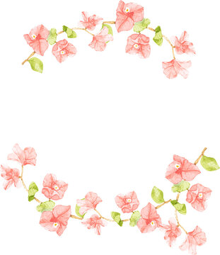 watercolor pink Bougainvillea bouquet wreath frame