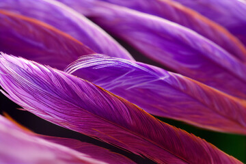 Fototapeta premium Close up of bright colorful feathers background. 2d illustration