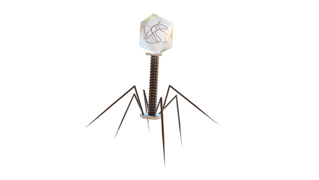 Bacteriophage, illustration