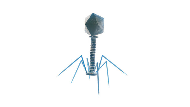 Bacteriophage, illustration