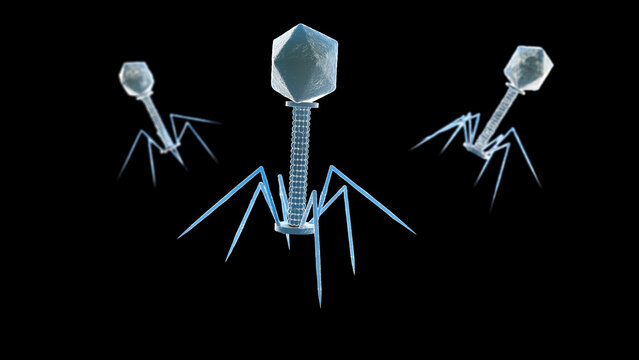 Bacteriophage, illustration
