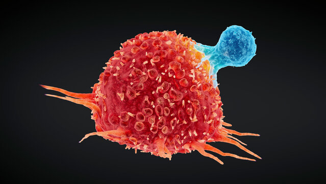 Destruction of a cancer cell, illustration