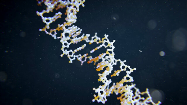 DNA molecule, illustration