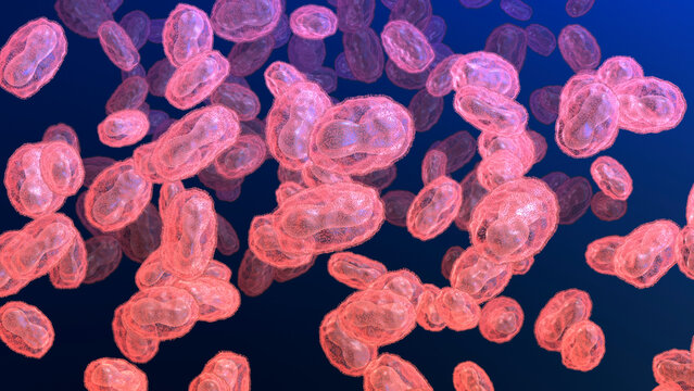 Monkey pox viruses, illustration