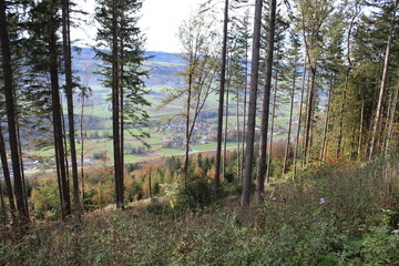 Buchberg