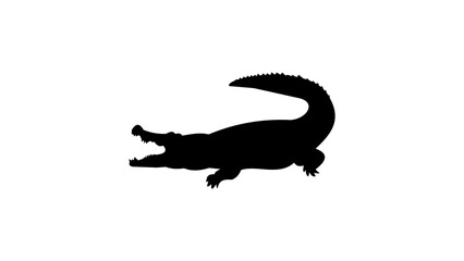 Crocodile silhouette