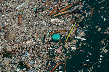 小笠原の海に浮かぶプラスチックごみと軽石